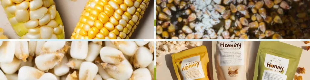 hominy